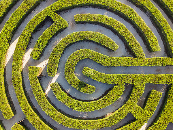Hedge-maze-RL-26